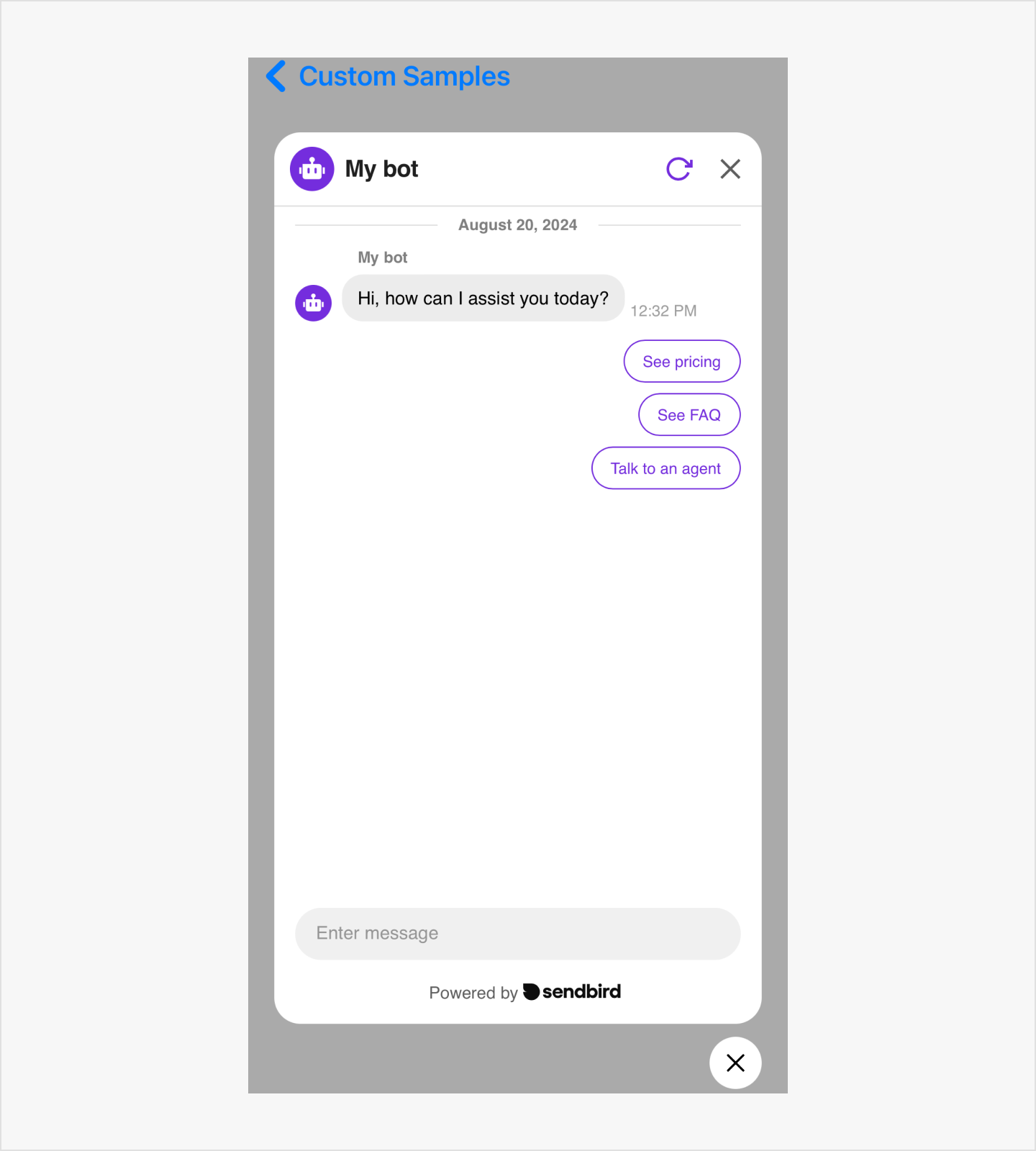 image|An image of the chatbot widget on an ios app.