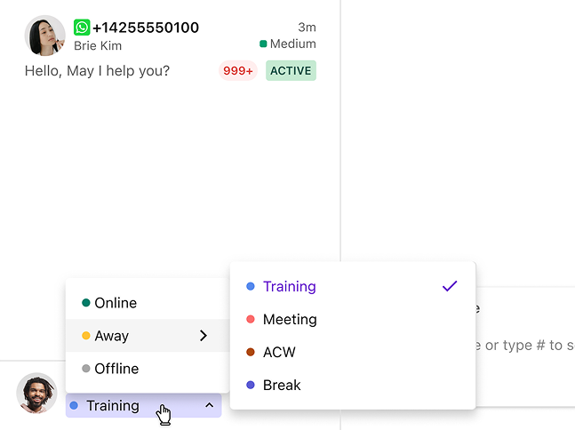 image|Selecting a custom status on the ticket view page