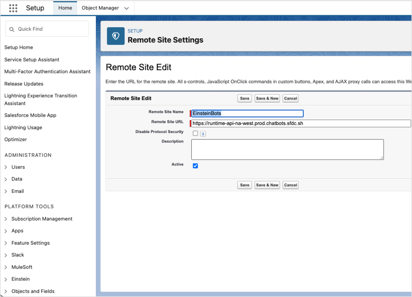 image|A screenshot of the Edit page of Remote Site Settings